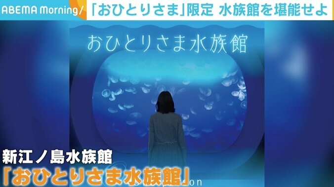 「コロナ禍で行くのを自粛していたという声が多く…」 新江ノ島水族館が提案する「おひとりさま水族館」 1枚目