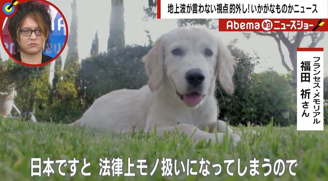 米の女性が「生きた子犬」をゴミ袋で投棄　専門家「自治体によっては日本でも死んだ動物はモノ扱い。遺棄しても処罰されない」 3枚目