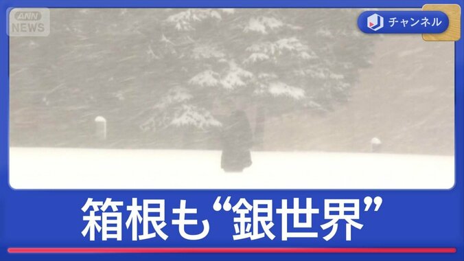 今季“最強＆最長寒波”ピーク　積雪4m超も　箱根は銀世界 1枚目