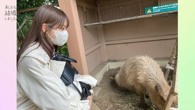 貴島明日香、15歳年上夫から突然のキス…「え、ここで！？」大興奮のスタジオ『私たち結婚しました4』第4話 3枚目