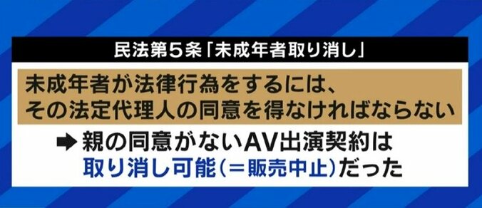 AV出演問題「デジタルタトゥーになると分かっていながら撮影・販売している業者も」国内法守らぬ業者への規制、どう徹底? 7枚目