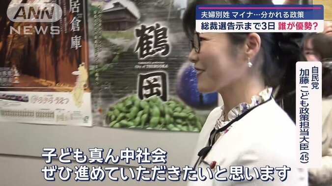 自民総裁選告示まで3日　初の女性候補・高市氏の勝算は？ 8枚目