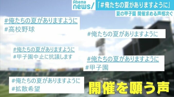 夏の甲子園“戦後初”の中止 Twitterでは「#俺たちの夏がありますように」投稿も 2枚目