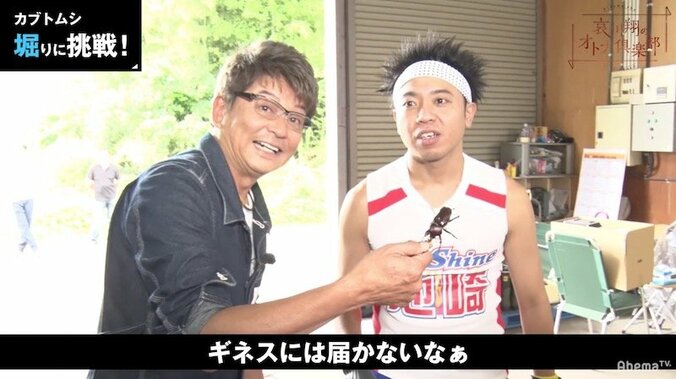 カブトムシ育成歴20年！哀川翔が語る、カブトムシ愛 1枚目