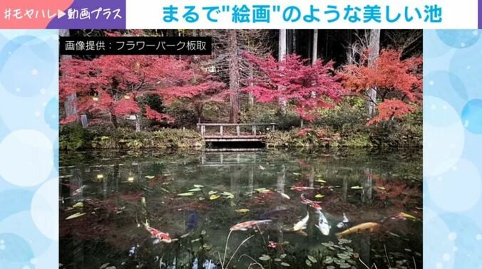 根道神社の境内にある池