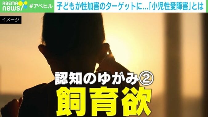 「飼育欲」ってなんだ？━━子どもを狙う性犯罪者の“歪んだ心理”を専門家分析 1枚目