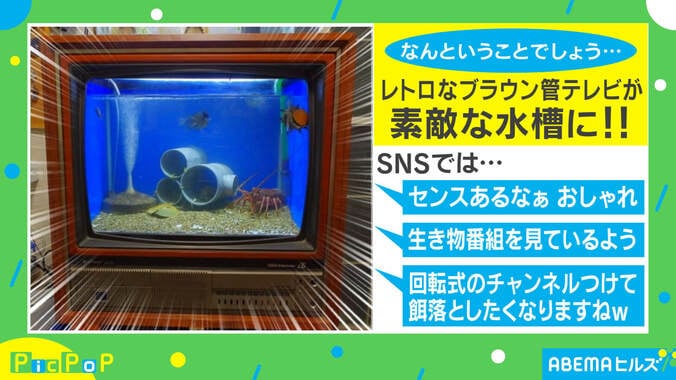 「餌落としたい」レトロなブラウン管テレビが“水槽”に！ 劇的リサイクルに反響相次ぐ 2枚目