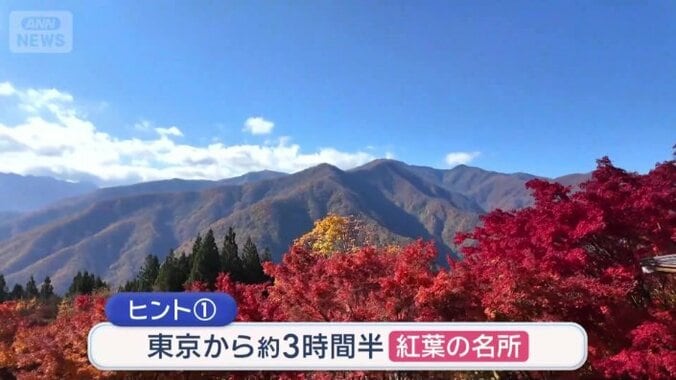 山頂付近は紅葉の名所