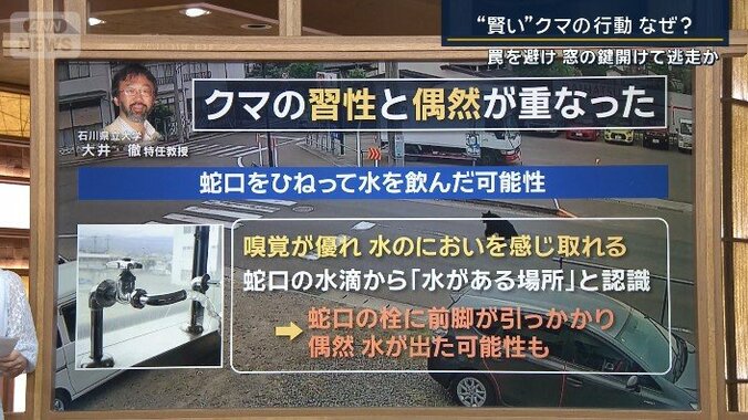 大井徹特任教授