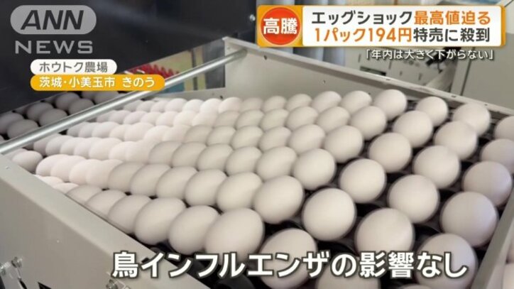 生みたての卵を次々とパック詰めに(※この養鶏場では発生していません)