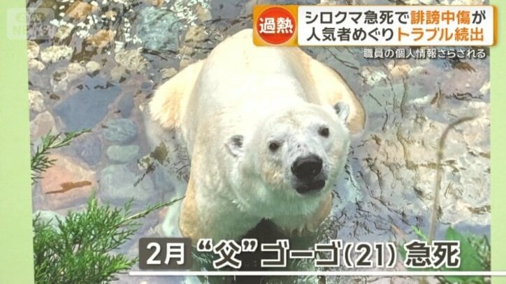 父親のゴーゴ（21）が急死