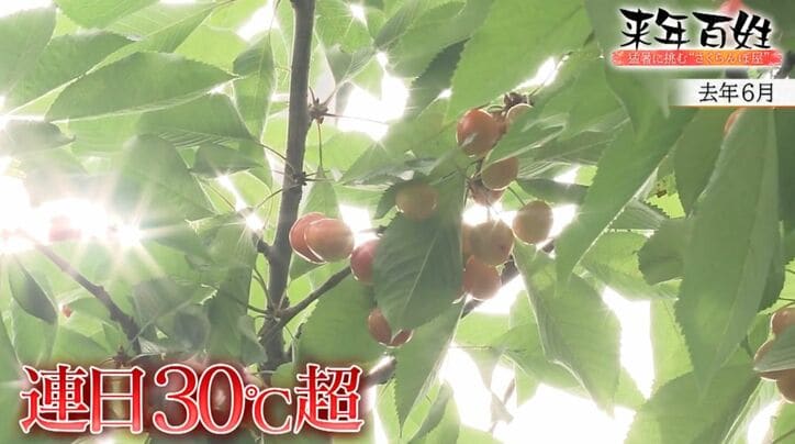 連日30度超え