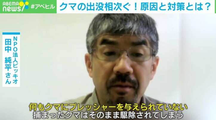 「親子で車を追いかけるクマも」人間の生活エリアで相次ぐ「遭遇被害」 なぜ“人の怖さ”を忘れたのか