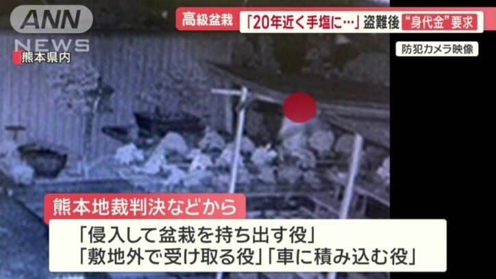 役割分担されていた