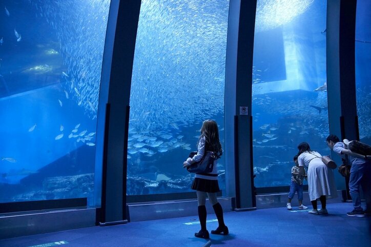 松村北斗(SixTONES)&森七菜のラブラブデート写真到着 映画『ライアー×ライアー』