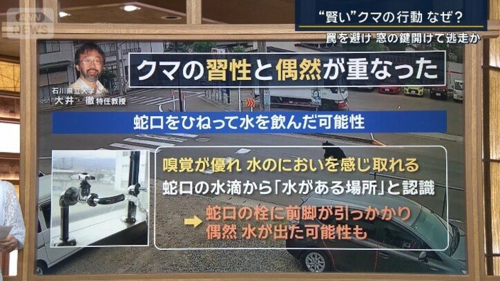 大井徹特任教授