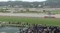 「豪華すぎんか」七夕賞の“スター誘導馬軍団”粋なメンバー選定と変わらぬ姿にファン歓喜「泣いた」「本当にアツい」