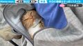 飼い主の懐にすっぽりハマりぽかぽかな猫…ちゃっかり暖をとる姿が気持ち良さそうと話題に「最強です」