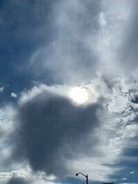 武田久美子『断念したイタリア行き』