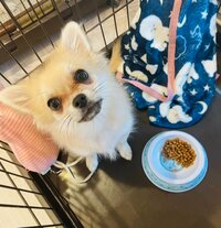 ココリコ遠藤嫁『病院へ』