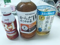 ニッチェ 江上敬子『トクホに頼りっぱなし!』