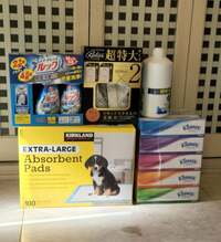 武東由美　『滞在時間30分弱でコストコでお買い物』