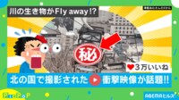 【映像】北の国では“鮭”が空を飛ぶ!?専用のゴンドラが話題