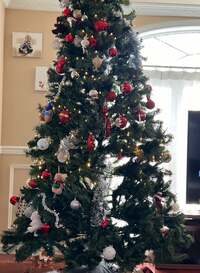 ラミレス美保『消えたオーナメント』