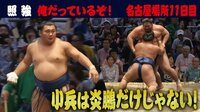 名古屋場所注目力士【照強】