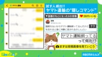 【映像】ヤマトから返ってきた“業務的”な返信