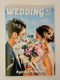 布川敏和『娘の結婚式』