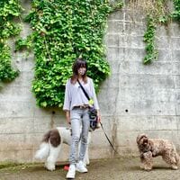 「高級感もあり素敵」「しーちゃん可愛い」工藤静香、散歩中のおしゃれなマスク姿を披露しファン称賛