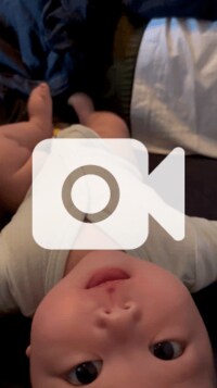 だいたひかる『朝から賑やか』