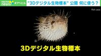 【映像】オンライン上に無償公開されている「3Dデジタル生物標本」