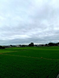 北斗晶『貯金箱の入り口』