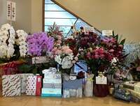 水前寺清子『10月9日』