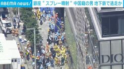 銀座 “スプレー噴射” 中国籍の男 地下鉄で逃走か
