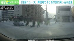 横断歩道を渡る小学生の列に車、転んでしまう子どもも ひき逃げで男を逮捕