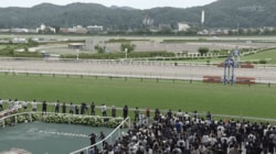 「豪華すぎんか」七夕賞の“スター誘導馬軍団”粋なメンバー選定と変わらぬ姿にファン歓喜「泣いた」「本当にアツい」