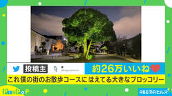 何年分？ 散歩中に出会った“巨大ブロッコリー”に反響！ 投稿主を取材
