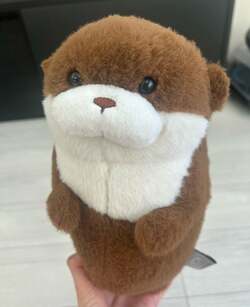  ココリコ遠藤の妻、次男の手術を前に心境を吐露「私まで緊張してきた」 