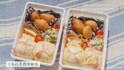 西野未姫は料理上手！手作り弁当披露で、バラエティとのギャップに視聴者驚き