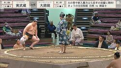 力士の大きな背中にまん丸のあざが…「きれいに並んでる」「跡が残ってる」一部ファンが注目