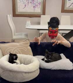  藤あや子、節分に鬼になりきるも愛猫は不思議顔「何してんの？」 