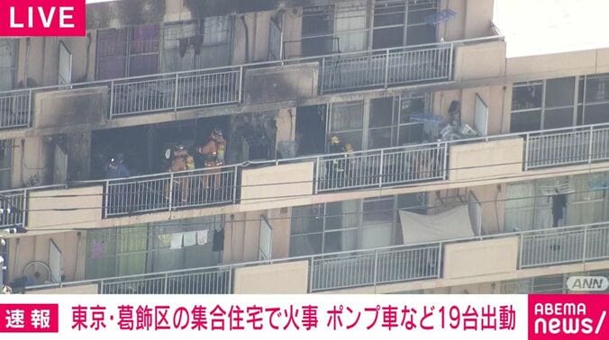 東京・葛飾区