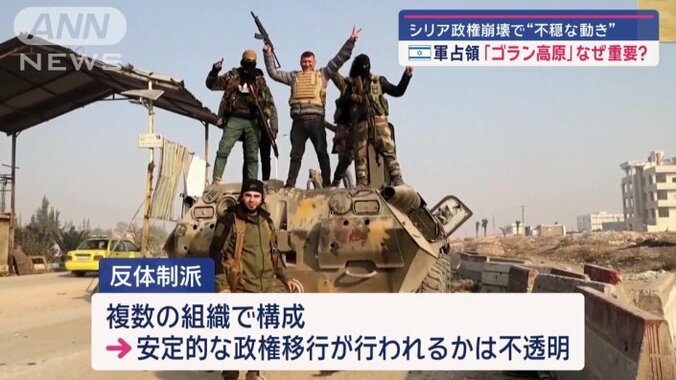 反体制派は複数の組織で構成