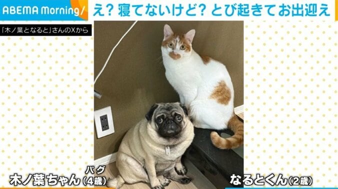 木ノ葉ちゃん、なるとくん