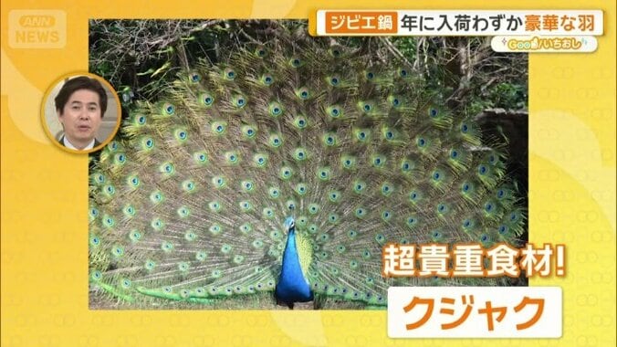 鶏肉の正体はクジャク