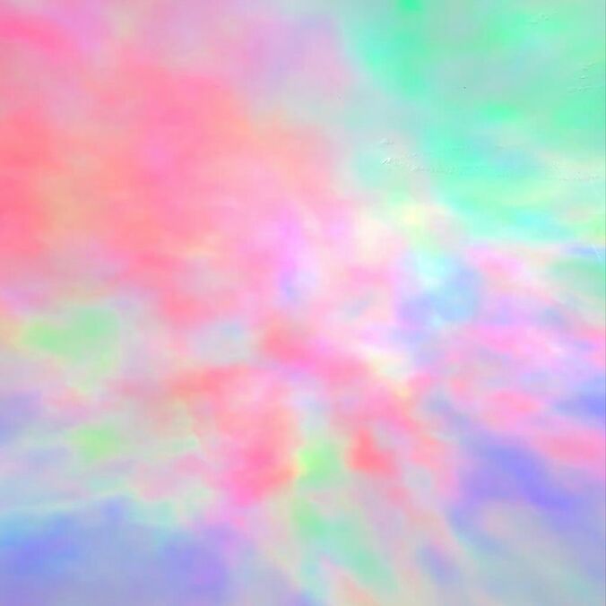 【写真・画像】　1枚目