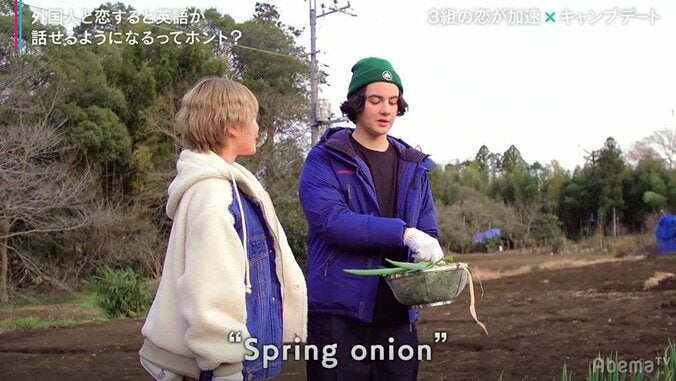 ネギはspring onion！ではピーマンは？…意外と知らない野菜の英語名 1枚目